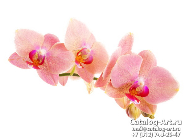 Натяжные потолки с фотопечатью - Розовые орхидеи 12